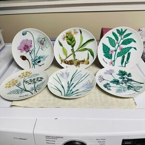 Horchow Japan 6 Pc Herb Design  Luncheon Salad Plates 7.5 inch Vintage